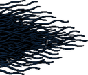 The Trawler